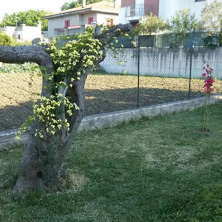 Via Dei Cascella 16 * Vasto